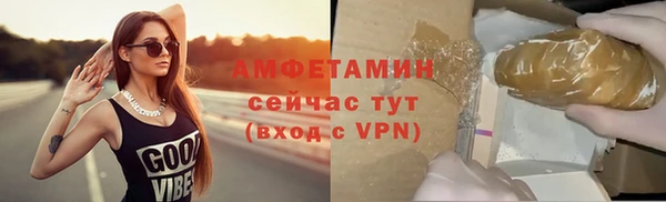индика Дмитров
