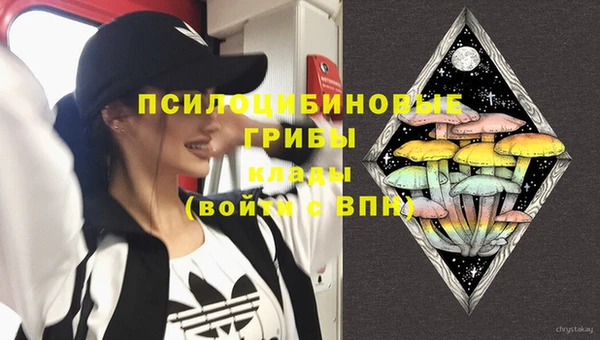 тгк Вязьма