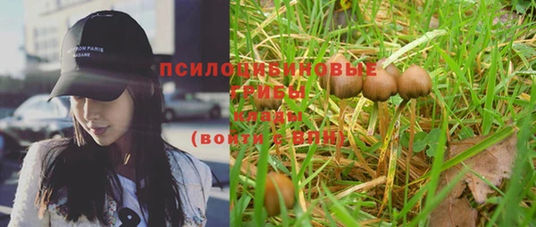 PSILOCYBIN Наволоки