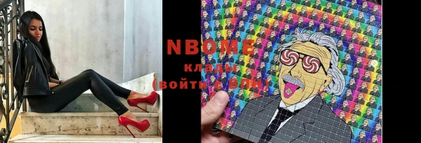 стафф Михайловск