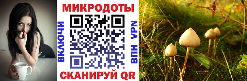 Галлюциногенные грибы мухоморы где продают Зверево